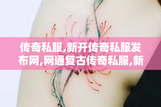 传奇私服,新开传奇私服发布网,网通复古传奇私服,新开1.80传奇私服,网通复古传奇私服