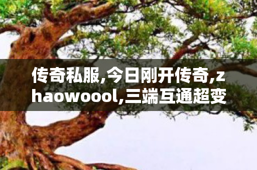 传奇私服,今日刚开传奇,zhaowoool,三端互通超变传奇网站,zhaowoool