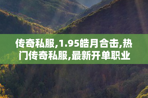 传奇私服,1.95皓月合击,热门传奇私服,最新开单职业,热门传奇私服