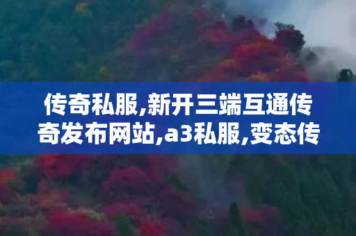 传奇私服,新开三端互通传奇发布网站,a3私服,变态传奇私发布网服,a3私服
