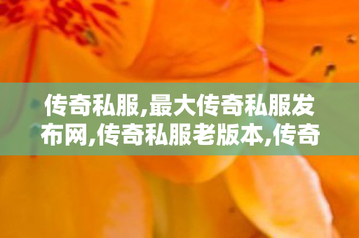 传奇私服,最大传奇私服发布网,传奇私服老版本,传奇私服今日新开,传奇私服老版本