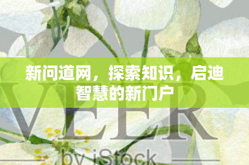 新问道网，探索知识，启迪智慧的新门户