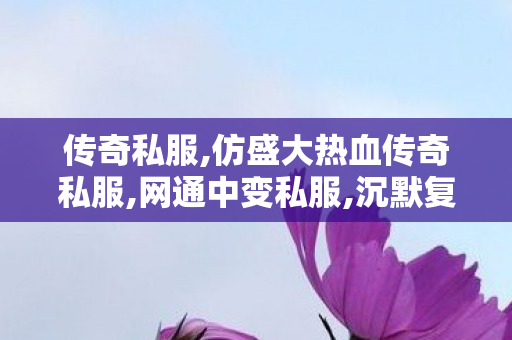 传奇私服,仿盛大热血传奇私服,网通中变私服,沉默复古传奇私服,网通中变私服