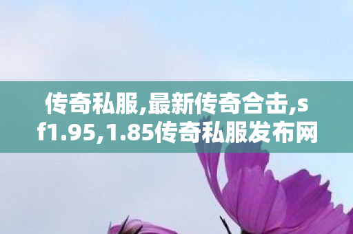 传奇私服,最新传奇合击,sf1.95,1.85传奇私服发布网,sf1.95