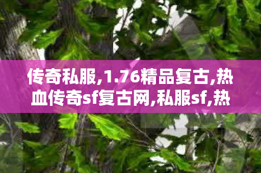 传奇私服,1.76精品复古,热血传奇sf复古网,私服sf,热血传奇sf复古网