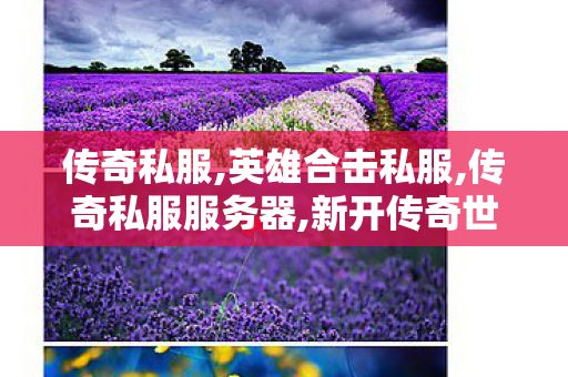 传奇私服,英雄合击私服,传奇私服服务器,新开传奇世界私服,传奇私服服务器