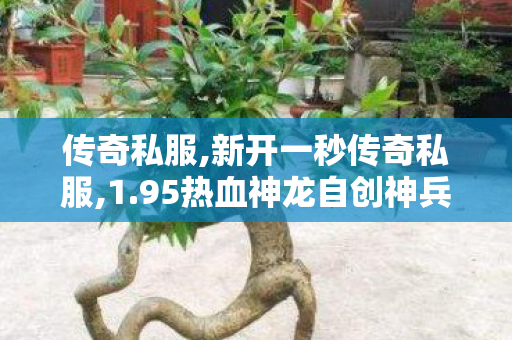 传奇私服,新开一秒传奇私服,1.95热血神龙自创神兵合击版,新开超级变态传世sf,1.95热血神龙自创神兵合击版
