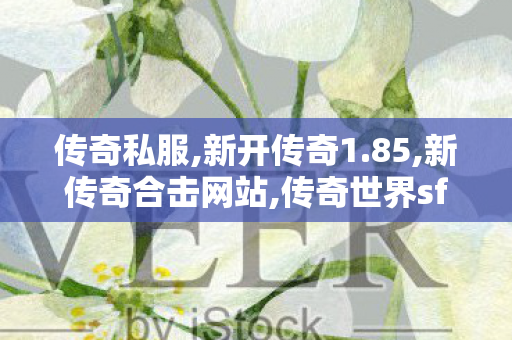 传奇私服,新开传奇1.85,新传奇合击网站,传奇世界sf网站大全,新传奇合击网站