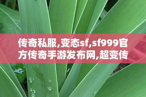 传奇私服,变态sf,sf999官方传奇手游发布网,超变传奇世界sf,sf999官方传奇手游发布网