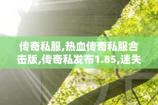传奇私服,热血传奇私服合击版,传奇私发布1.85,迷失超变单职业传奇,传奇私发布1.85