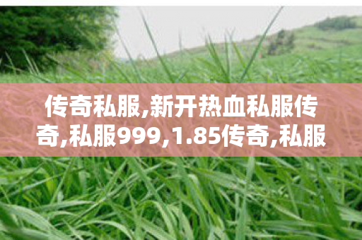 传奇私服,新开热血私服传奇,私服999,1.85传奇,私服999