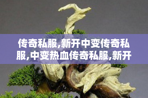传奇私服,新开中变传奇私服,中变热血传奇私服,新开传世中变私服,中变热血传奇私服