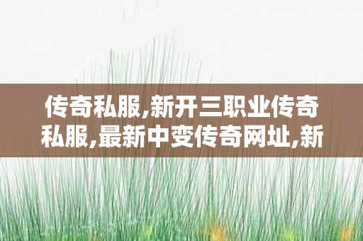 传奇私服,新开三职业传奇私服,最新中变传奇网址,新开中变传世,最新中变传奇网址