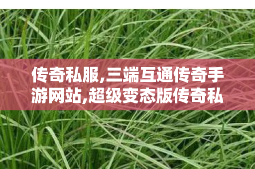 传奇私服,三端互通传奇手游网站,超级变态版传奇私服,网通传奇私服网站,超级变态版传奇私服
