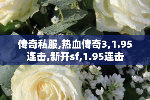 传奇私服,热血传奇3,1.95连击,新开sf,1.95连击