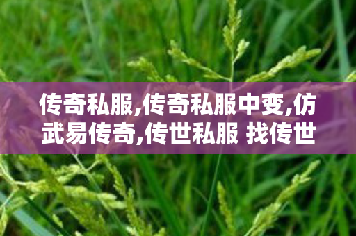 传奇私服,传奇私服中变,仿武易传奇,传世私服 找传世网,仿武易传奇