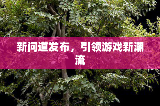 新问道发布，引领游戏新潮流