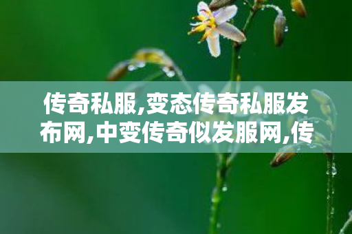 传奇私服,变态传奇私服发布网,中变传奇似发服网,传世手游新开服网站0,中变传奇似发服网