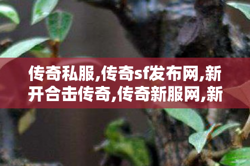 传奇私服,传奇sf发布网,新开合击传奇,传奇新服网,新开合击传奇