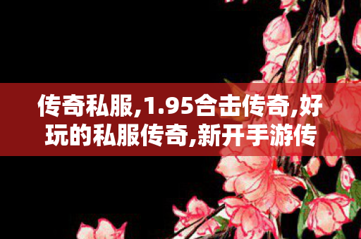 传奇私服,1.95合击传奇,好玩的私服传奇,新开手游传奇私服,好玩的私服传奇
