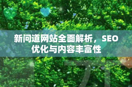 新问道网站全面解析，SEO优化与内容丰富性