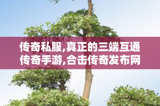 传奇私服,真正的三端互通传奇手游,合击传奇发布网,传奇世界新开私服,合击传奇发布网