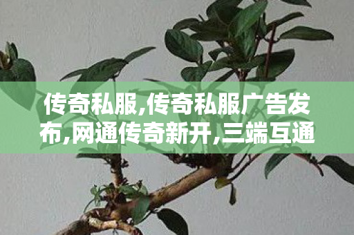 传奇私服,传奇私服广告发布,网通传奇新开,三端互通传奇,网通传奇新开
