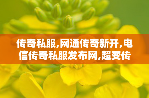 传奇私服,网通传奇新开,电信传奇私服发布网,超变传奇私服发布网,电信传奇私服发布网
