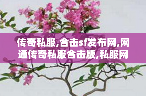 传奇私服,合击sf发布网,网通传奇私服合击版,私服网站,网通传奇私服合击版