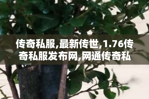 传奇私服,最新传世,1.76传奇私服发布网,网通传奇私服发布站,1.76传奇私服发布网