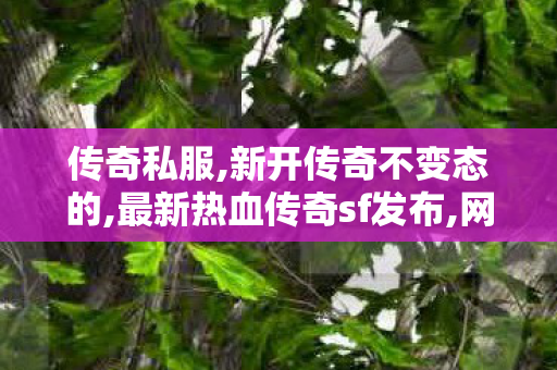 传奇私服,新开传奇不变态的,最新热血传奇sf发布,网通变态传奇私服,最新热血传奇sf发布