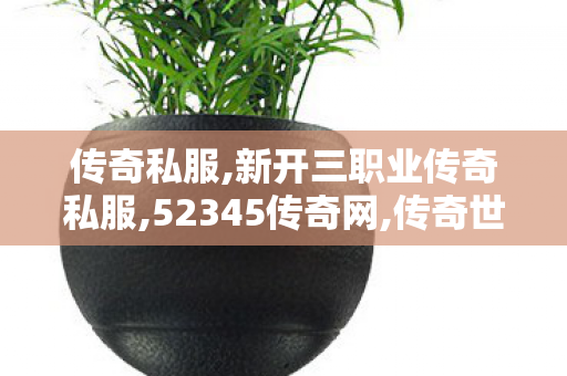 传奇私服,新开三职业传奇私服,52345传奇网,传奇世界私服,52345传奇网