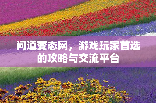 问道变态网，游戏玩家首选的攻略与交流平台