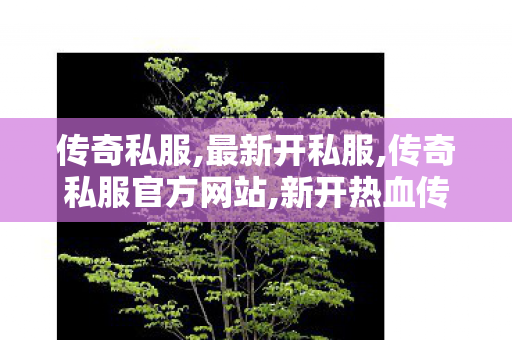 传奇私服,最新开私服,传奇私服官方网站,新开热血传奇私服发布网,传奇私服官方网站