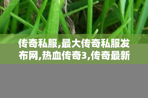 传奇私服,最大传奇私服发布网,热血传奇3,传奇最新私服,热血传奇3