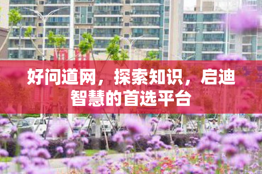 好问道网，探索知识，启迪智慧的首选平台
