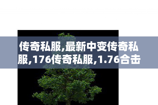 传奇私服,最新中变传奇私服,176传奇私服,1.76合击传奇私服,176传奇私服