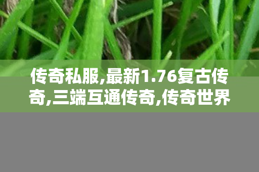 传奇私服,最新1.76复古传奇,三端互通传奇,传奇世界中变私服,三端互通传奇
