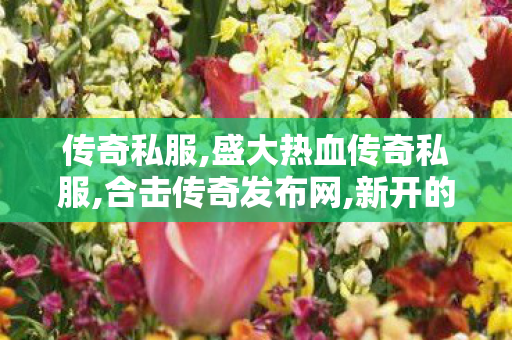 传奇私服,盛大热血传奇私服,合击传奇发布网,新开的私服,合击传奇发布网