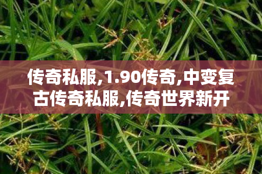 传奇私服,1.90传奇,中变复古传奇私服,传奇世界新开服的网站,中变复古传奇私服