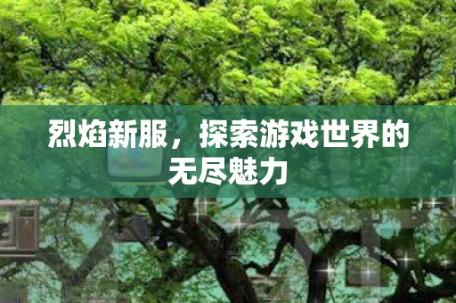 烈焰新服，探索游戏世界的无尽魅力
