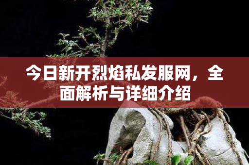 今日新开烈焰私发服网，全面解析与详细介绍