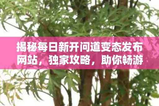 揭秘每日新开问道变态发布网站，独家攻略，助你畅游问道世界