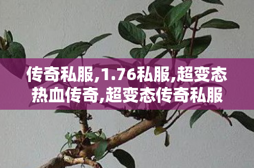 传奇私服,1.76私服,超变态热血传奇,超变态传奇私服,超变态热血传奇