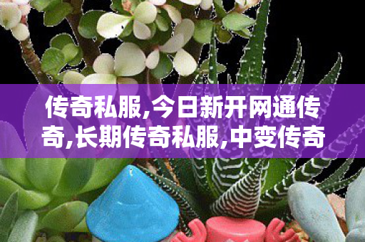 传奇私服,今日新开网通传奇,长期传奇私服,中变传奇网站新开网,长期传奇私服