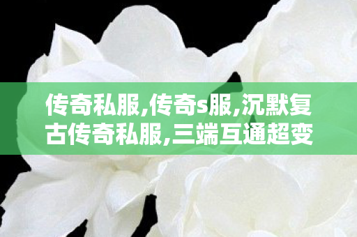 传奇私服,传奇s服,沉默复古传奇私服,三端互通超变传奇网站,沉默复古传奇私服