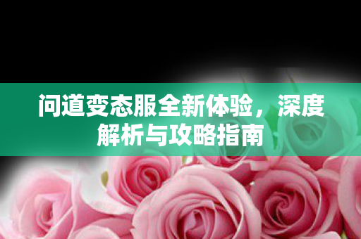 问道变态服全新体验，深度解析与攻略指南