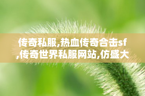 传奇私服,热血传奇合击sf,传奇世界私服网站,仿盛大热血传奇私服,传奇世界私服网站