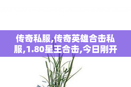 传奇私服,传奇英雄合击私服,1.80星王合击,今日刚开传奇,1.80星王合击