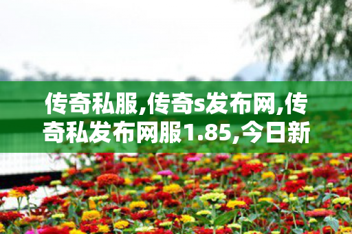 传奇私服,传奇s发布网,传奇私发布网服1.85,今日新开传奇私服,传奇私发布网服1.85